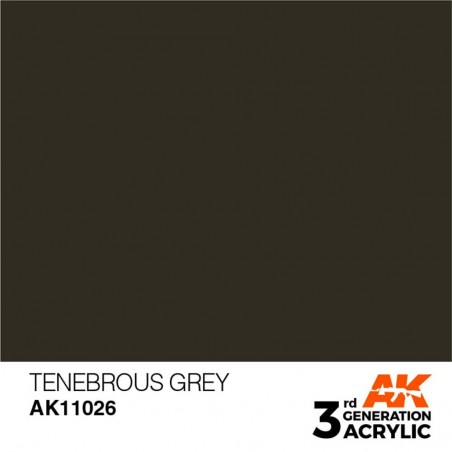 Tenebrous Grey - Standard - Peinture 3ème Gen.